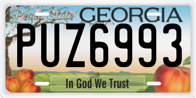 GA license plate PUZ6993