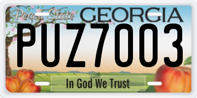GA license plate PUZ7003