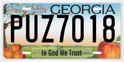 GA license plate PUZ7018