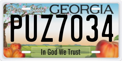 GA license plate PUZ7034