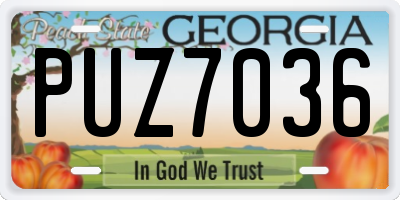 GA license plate PUZ7036