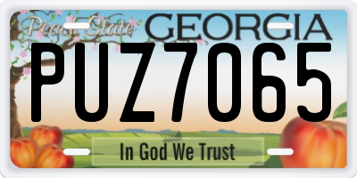 GA license plate PUZ7065
