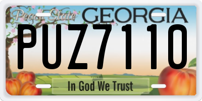 GA license plate PUZ7110