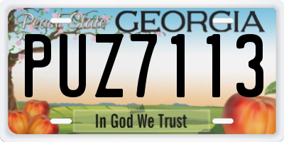 GA license plate PUZ7113