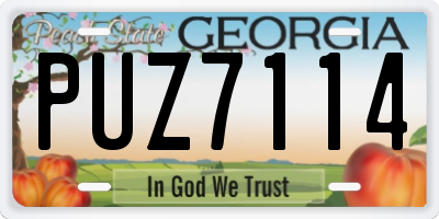 GA license plate PUZ7114