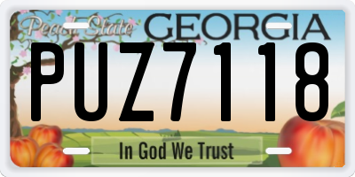 GA license plate PUZ7118