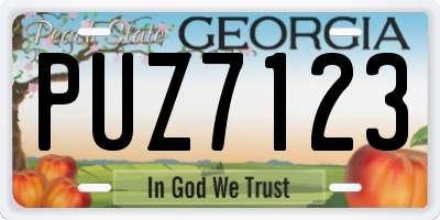 GA license plate PUZ7123