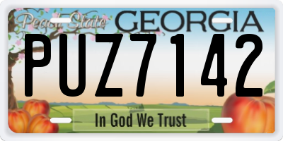 GA license plate PUZ7142