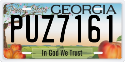 GA license plate PUZ7161
