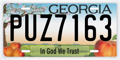 GA license plate PUZ7163