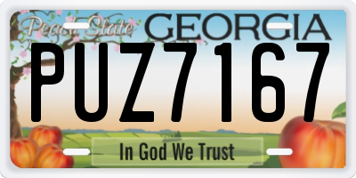 GA license plate PUZ7167