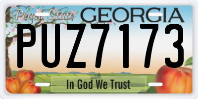 GA license plate PUZ7173