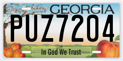 GA license plate PUZ7204