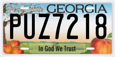 GA license plate PUZ7218