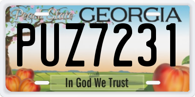 GA license plate PUZ7231