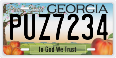 GA license plate PUZ7234