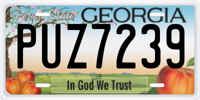 GA license plate PUZ7239