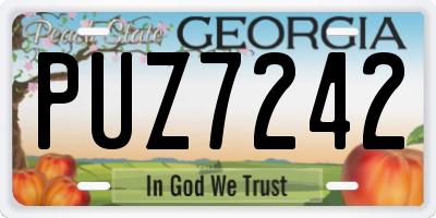 GA license plate PUZ7242
