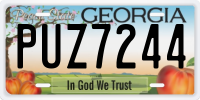 GA license plate PUZ7244