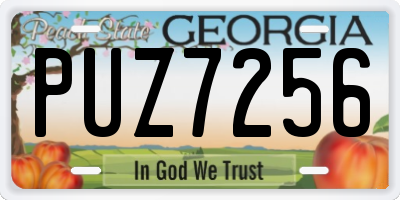 GA license plate PUZ7256