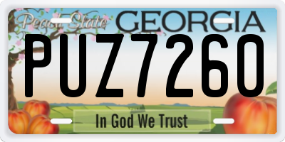 GA license plate PUZ7260