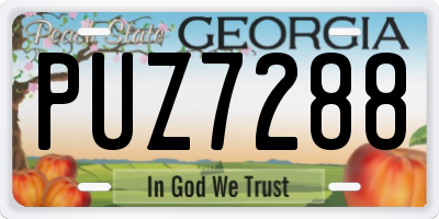 GA license plate PUZ7288