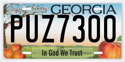 GA license plate PUZ7300
