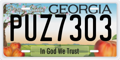 GA license plate PUZ7303