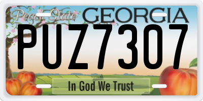 GA license plate PUZ7307