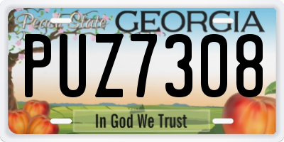 GA license plate PUZ7308
