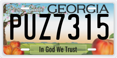 GA license plate PUZ7315