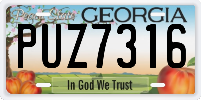 GA license plate PUZ7316