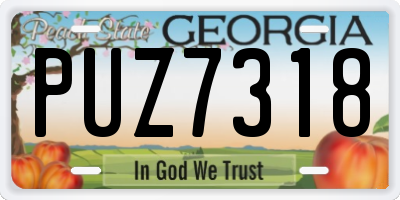 GA license plate PUZ7318
