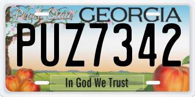 GA license plate PUZ7342
