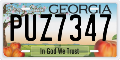 GA license plate PUZ7347