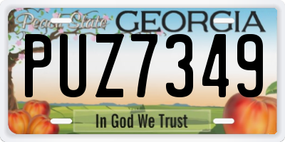 GA license plate PUZ7349