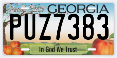 GA license plate PUZ7383
