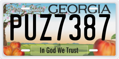 GA license plate PUZ7387