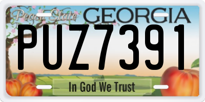 GA license plate PUZ7391