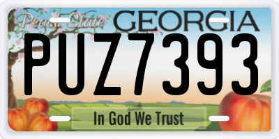GA license plate PUZ7393