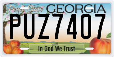 GA license plate PUZ7407