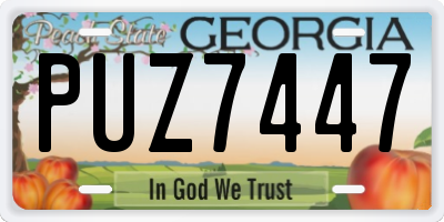 GA license plate PUZ7447