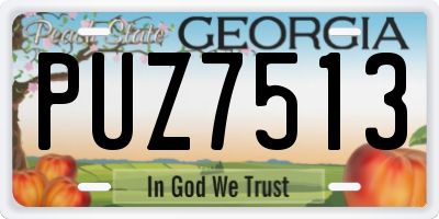 GA license plate PUZ7513
