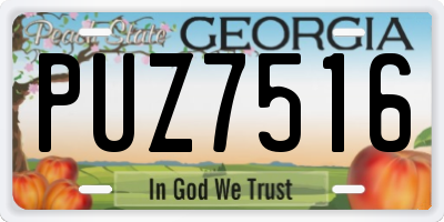 GA license plate PUZ7516