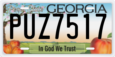 GA license plate PUZ7517