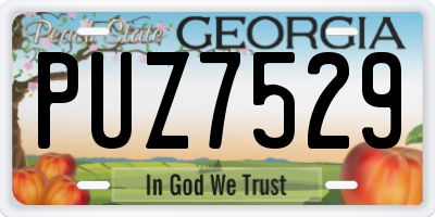 GA license plate PUZ7529