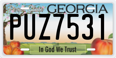 GA license plate PUZ7531