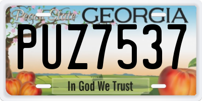GA license plate PUZ7537