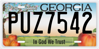 GA license plate PUZ7542