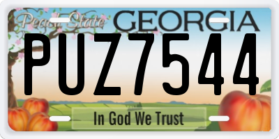 GA license plate PUZ7544